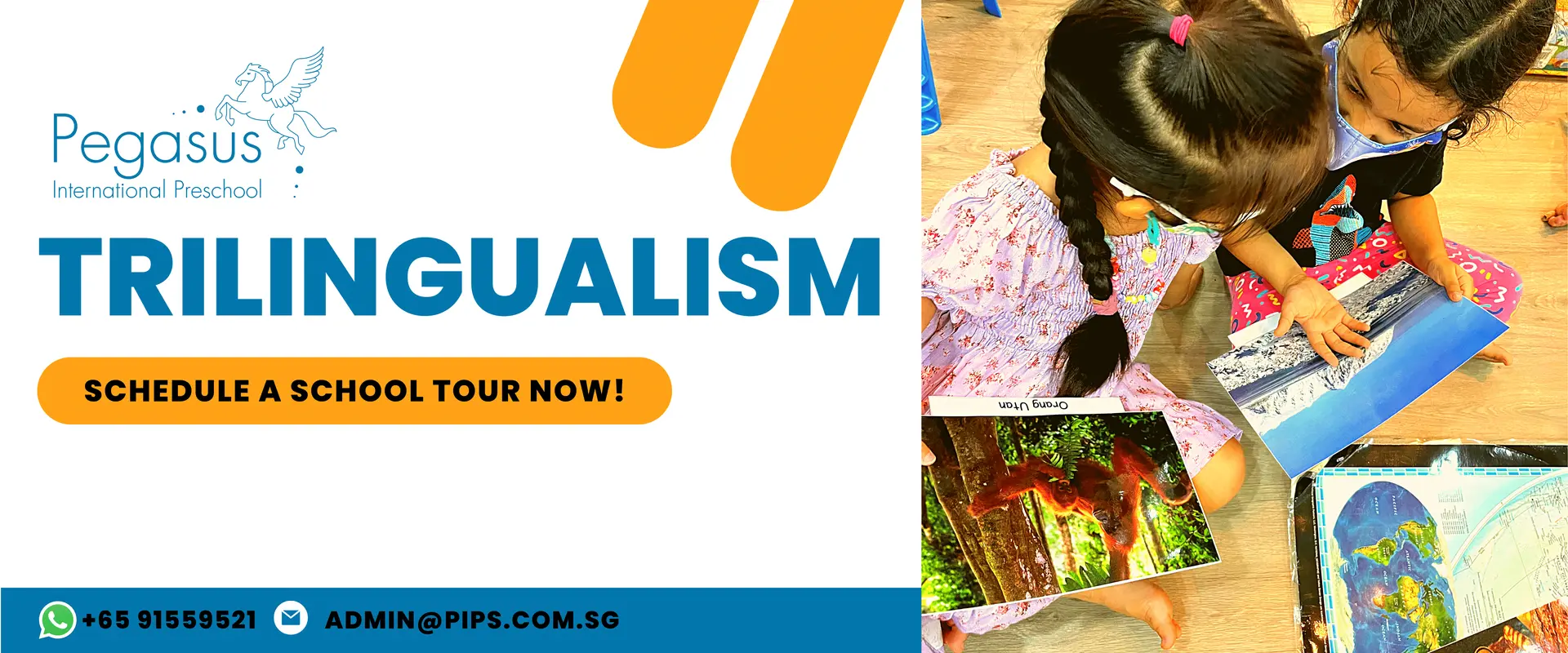 A trilingual learning session at Pegasus