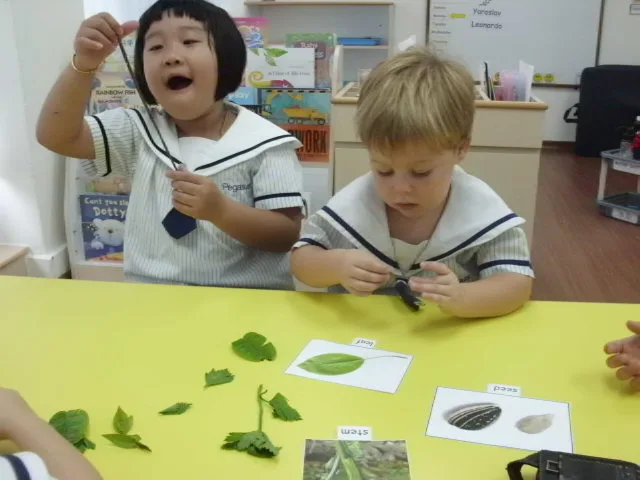 Two children examining leaves and natural objects together.