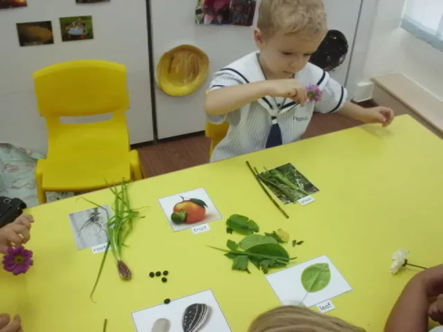 Children sorting leaves, flowers and seeds during a classroom activity.