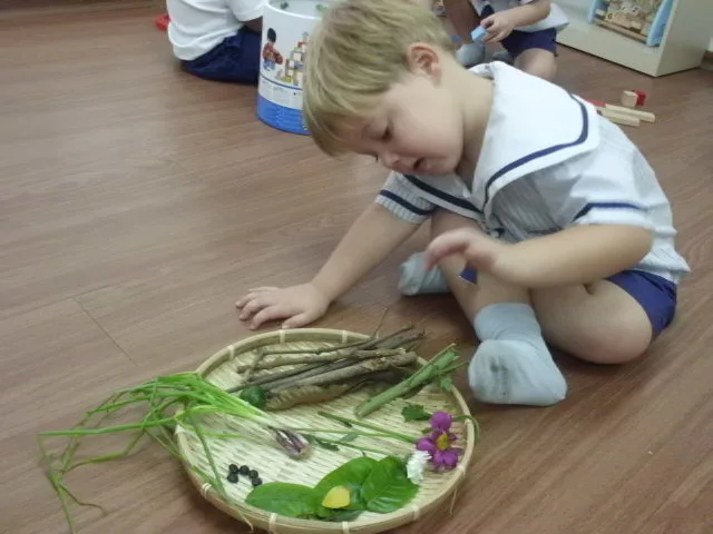Preschool child examining natural materials arranged on a tray.